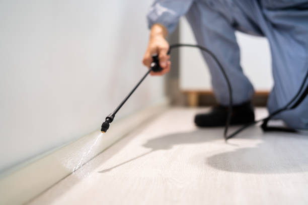 Licensed Pest Control service in Braddock Hills, PA - Show Me Pest Control