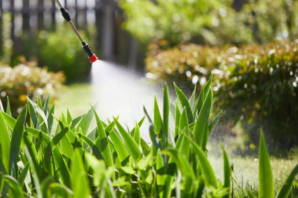 24/7 Emergency Wasp Removal experts in Braddock Hills, PA
