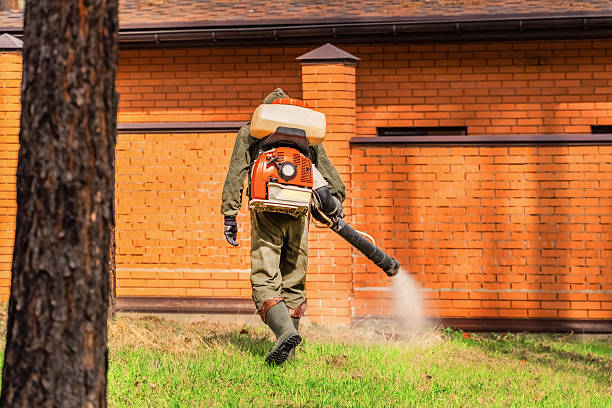 Top rated local Wasp Removal specialists in Braddock Hills, PA